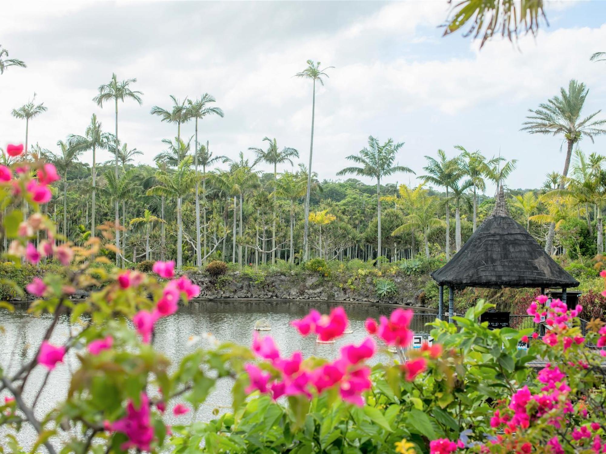 Ref Okinawa Arena By Vessel Hotel エクステリア 写真